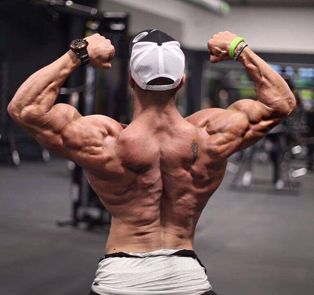 怎么做才能减脂又增肌 87d519c1201d4f63b30d93dbabbff6da.jpeg