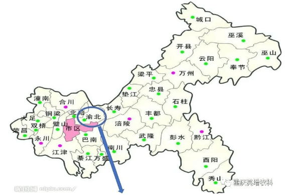 重庆各区县2020城市人口数_世界城市人口排名2020(3)