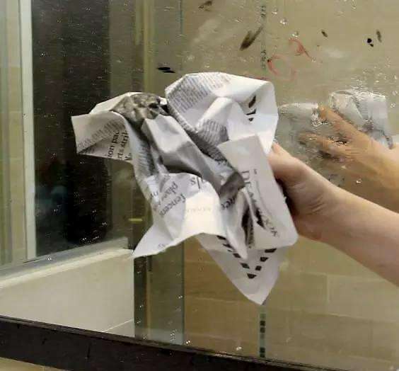 e5b544b5006c46a3954461f46ee73718.jpeg