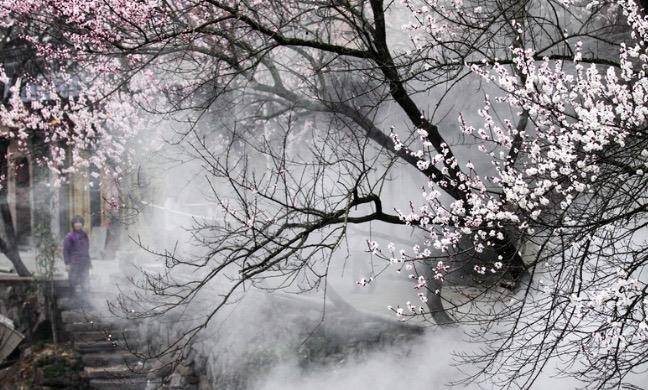 王维描写春天景物的古诗