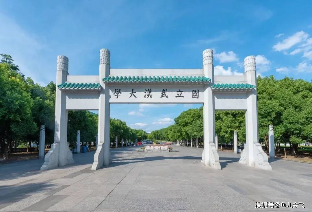 小学霸|武汉大学最小新生仅13岁,来自高考第一大省河南比北大最小新生还强