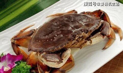 中秋节吃公蟹怎么样