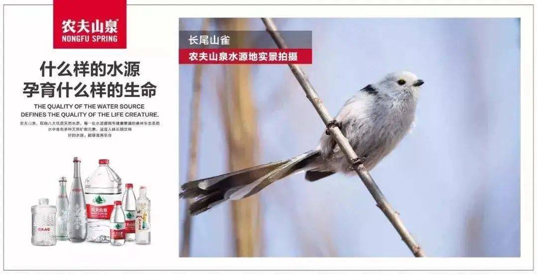 品牌|农夫山泉是如何用文案把水卖出55亿的？