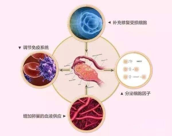中老年人更需警惕【慢性炎症】!
