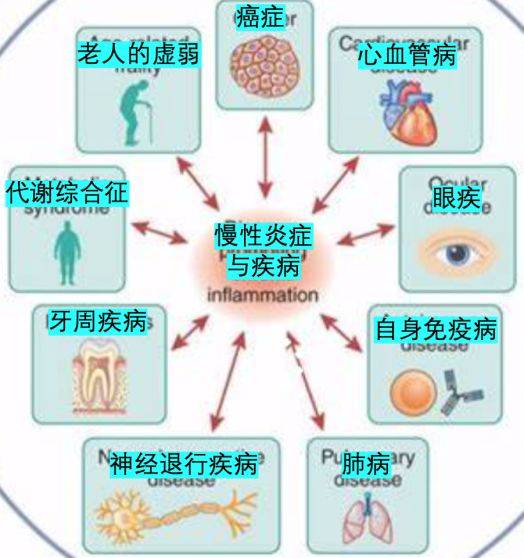 中老年人更需警惕慢性炎症