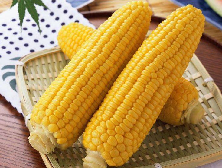 作物|健康美味，但不能和它同食大家注意玉米是公认的“黄金作物”
