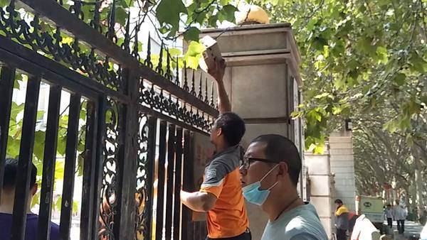 校园|开学季校园订单猛增 快递小哥各施“神投绝技”忙得不亦乐乎