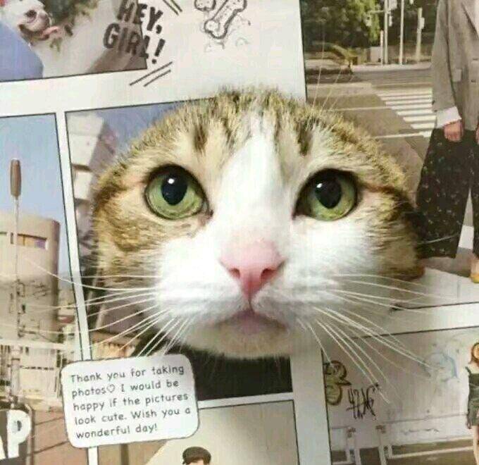 138da10b80bc4f31be9c218504f7d0c7.jpeg