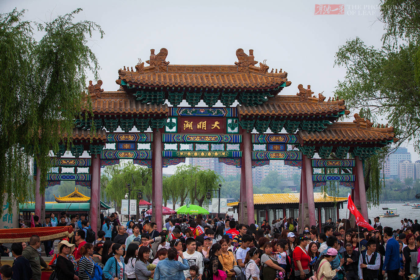 夏雨荷|乾隆心心念念的大明湖，不但没夏雨荷，46个大明湖才抵一个西湖