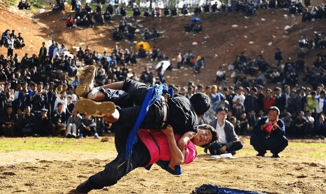 俄罗斯汉族人口有多少_了解隆林 隆林人口变迁及壮 汉 苗 彝 仡佬民族历史(2)