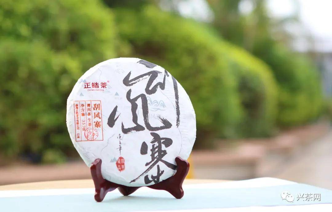 双面燕洵教唱曲谱