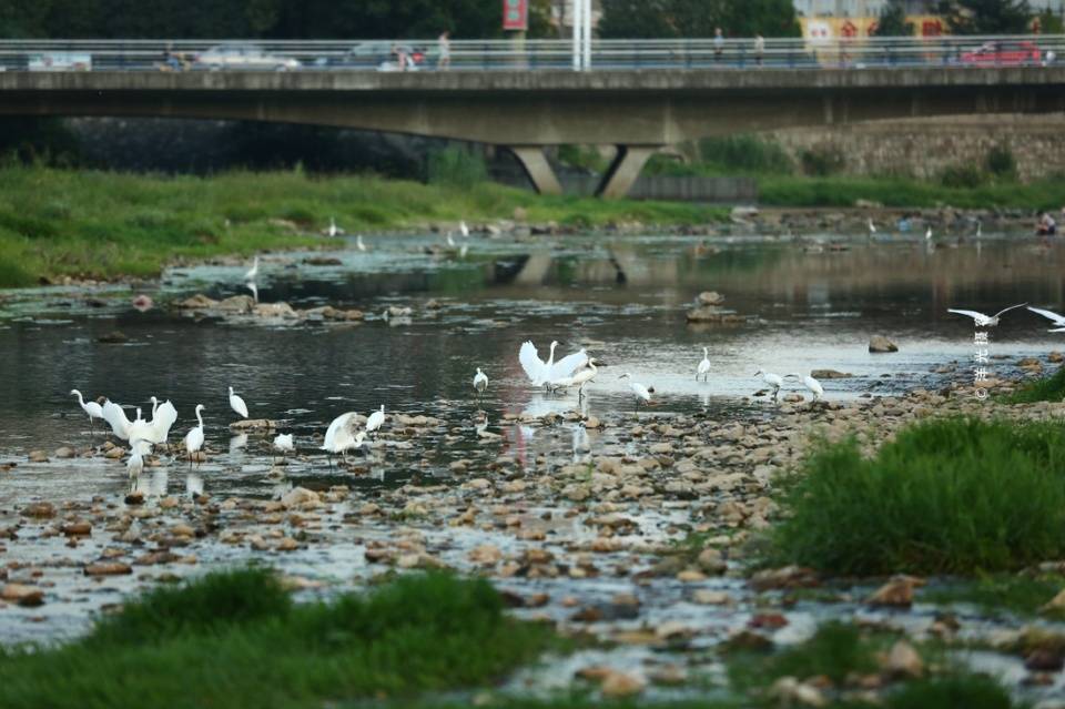 桐城市区经济总量_桐城市区地图(3)