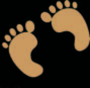 绘本|0~4岁绘本怎么挑？这套书给满分