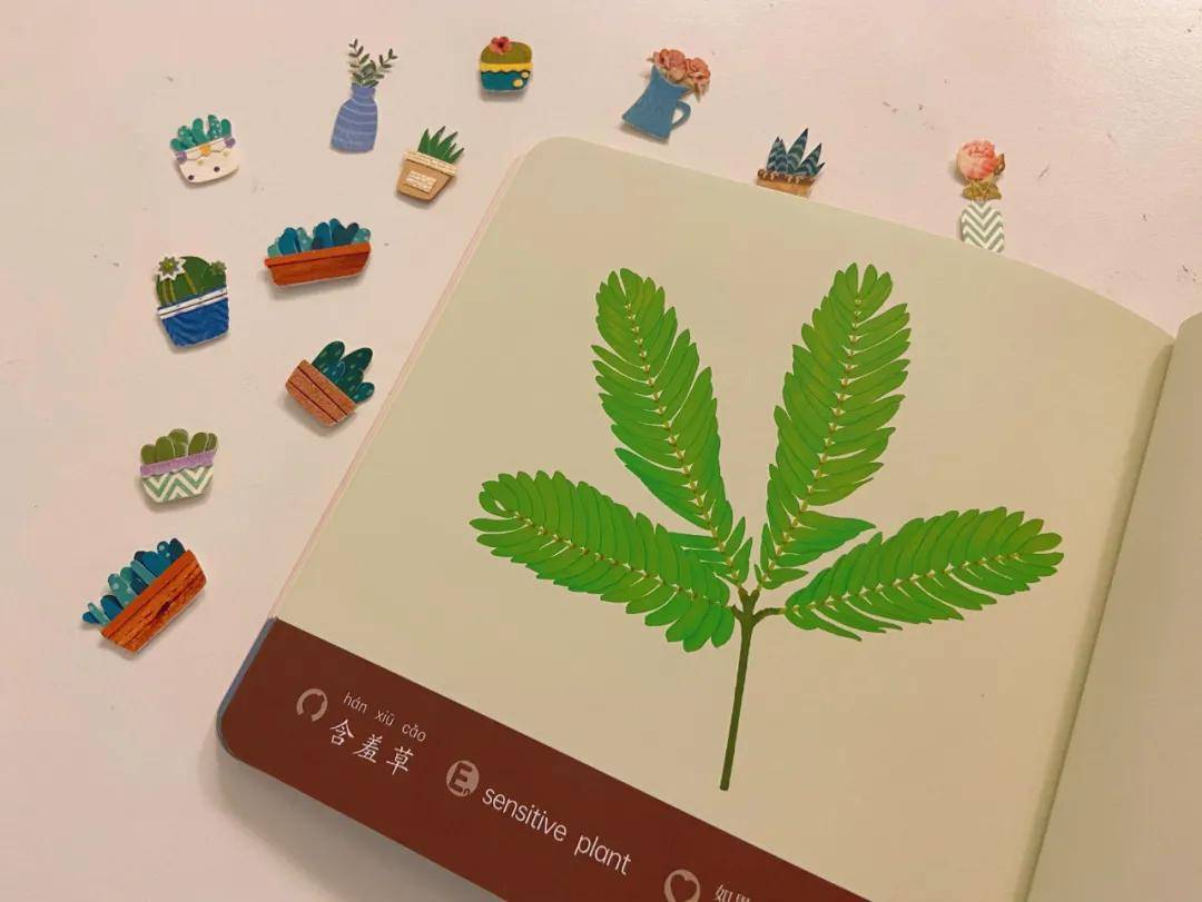 绘本|0~4岁绘本怎么挑？这套书给满分