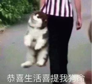 2cb23dc0eb4d4c2eae7454175da2d598.jpeg