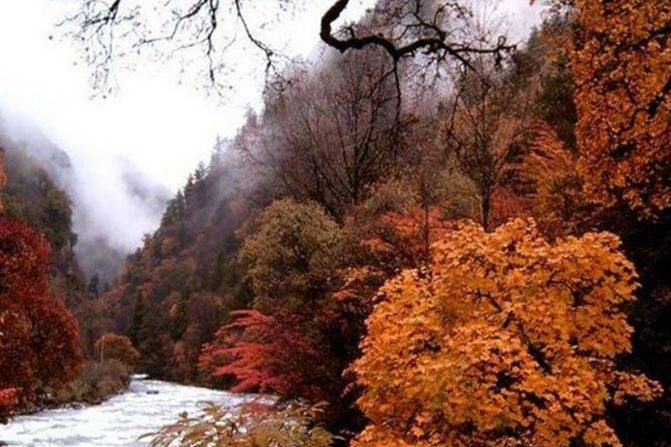 什么时候最适合赏秋景 ba9fb3947a804745b33ecd7a8e598ccb.jpeg