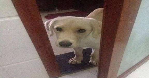 c6fa4569c81f4e46aa9c9282b13e1c71.jpeg