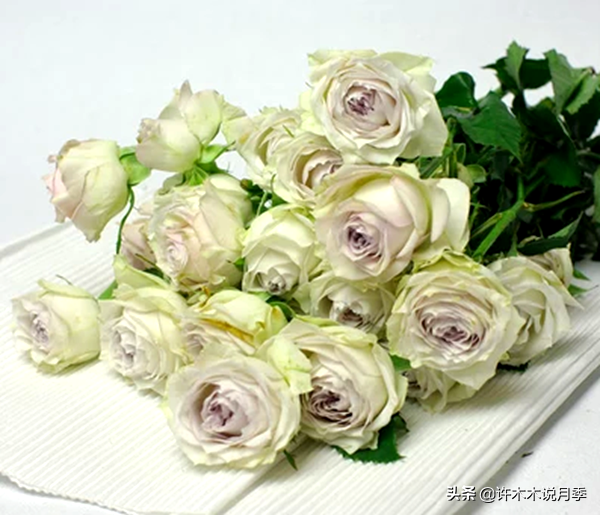580e544e8b32402fbf29260f0689875f.png