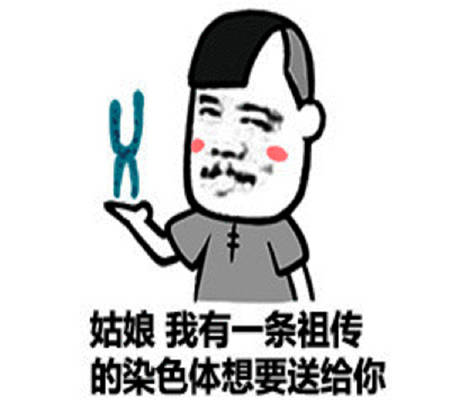 5acc67cf517944758181ffc47d992316.jpeg