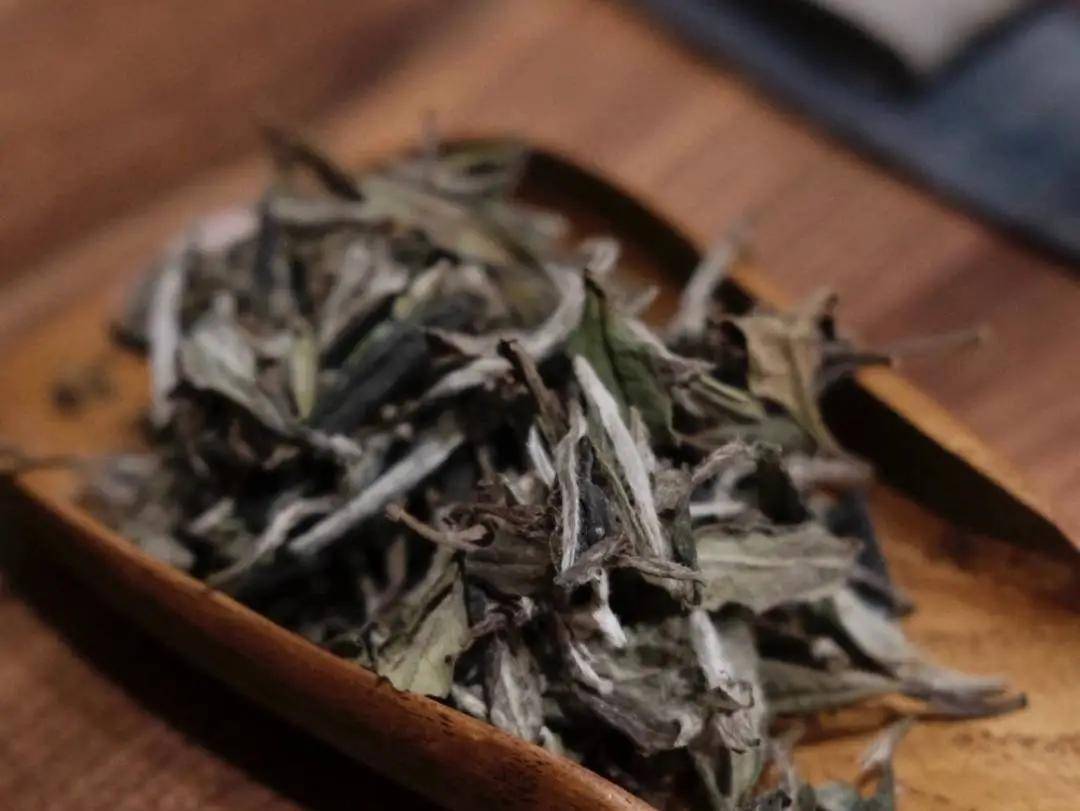 茶叶|喝着却不香的白茶，能算好茶吗？闻着香