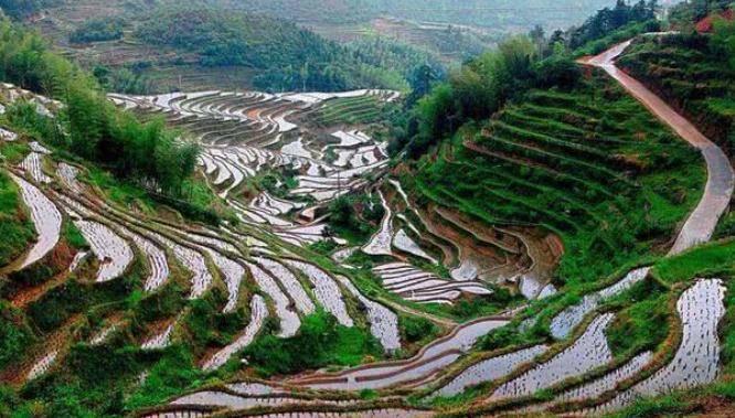 遂川gdp_遂川中学(3)