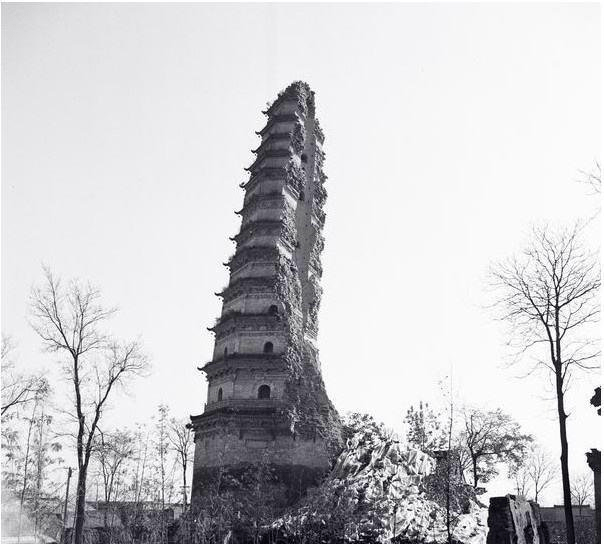 舍利人口_舍利花图片(2)