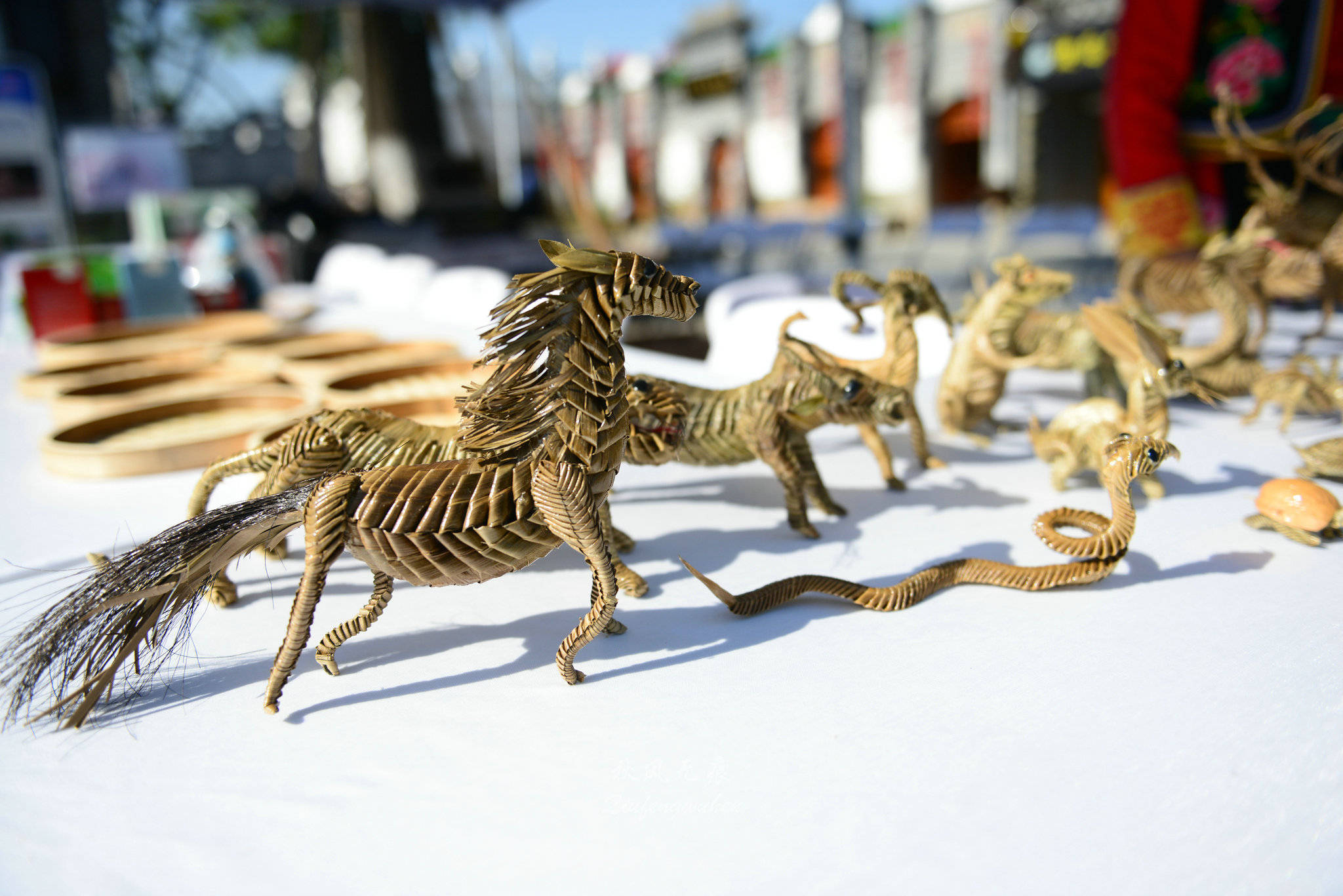 北川(|在世界行走 为北川停留