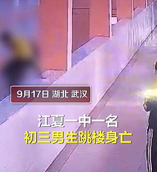 武汉14岁男生被母亲扇打后跳楼坠亡,非常令人遗憾_手机搜狐网