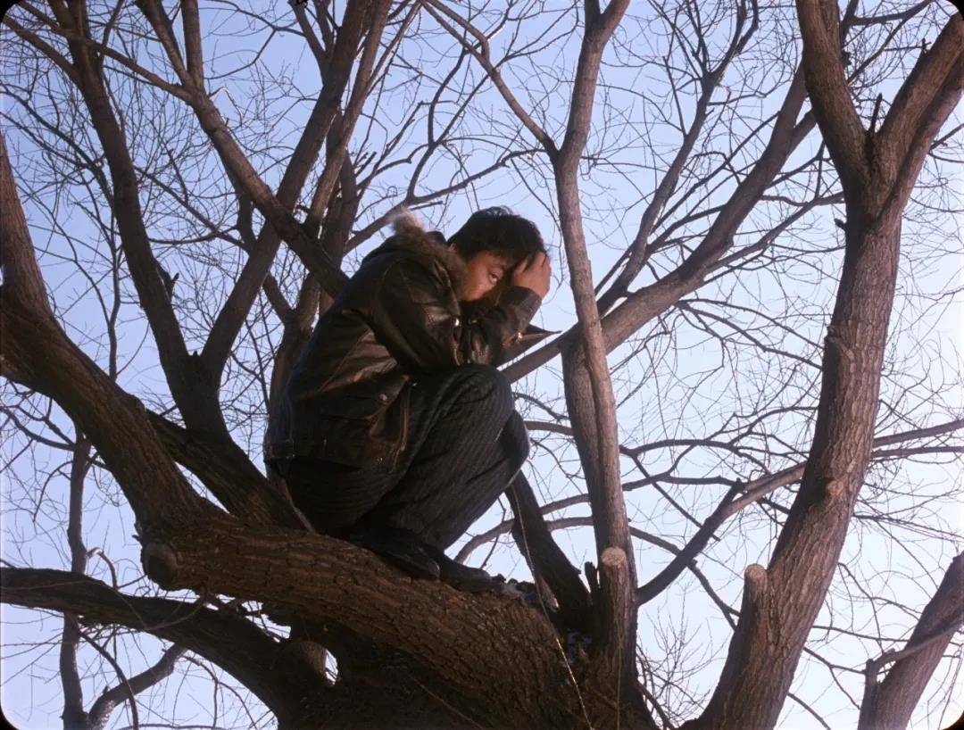 一棵树一堆树跟猜一成语_一棵树图片(3)