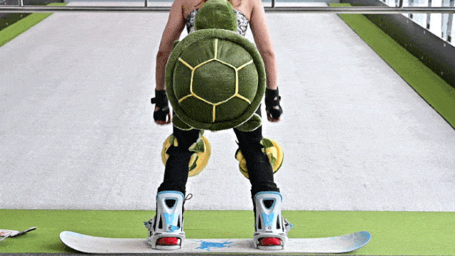 指导|健身双周卡,游泳,滑雪!全部拥有!