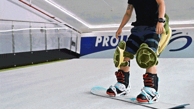 指导|健身双周卡,游泳,滑雪!全部拥有!