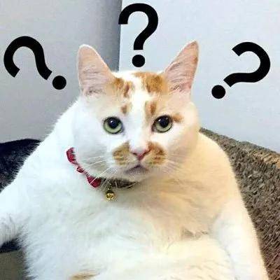 刘亦菲脸上竟然惊现“奶奶线”?天仙的完美骨相终究也难逃这一劫...