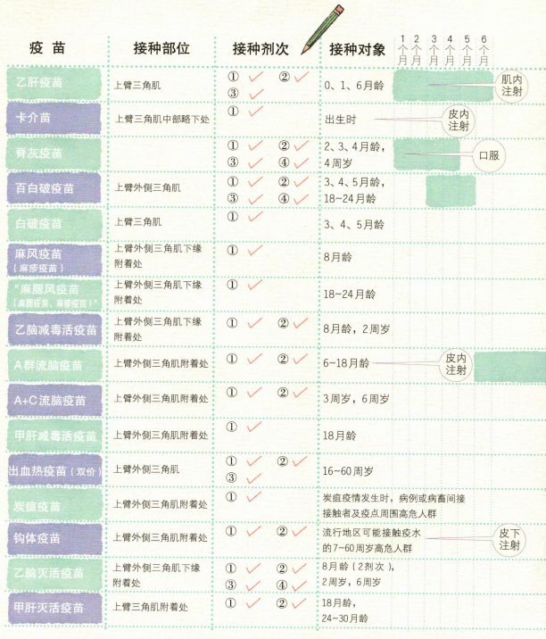 新生宝宝的疫苗接种时间表