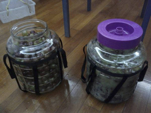 做法|何不自酿葡萄酒品味，做法详细教你，美味极了葡萄丰收的季节