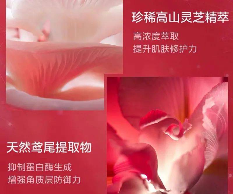 皮肤|秋冬换季护肤大作战