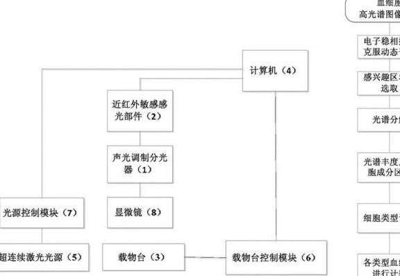 文章配图-11