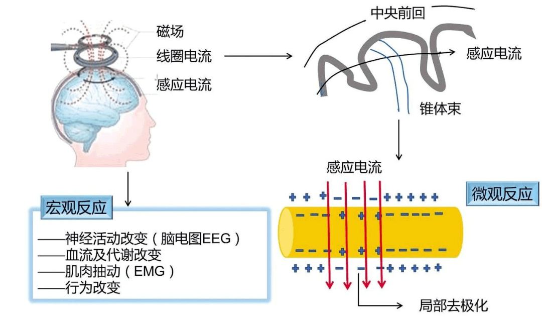 烫伤后摸盐是什么原理_二级烫伤是什么概念(3)