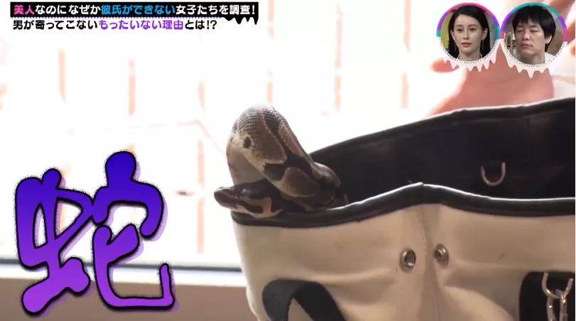 男友|甜美可爱的樱花妹竟然找不到男友？终于扒出了她们“被拒”的原因