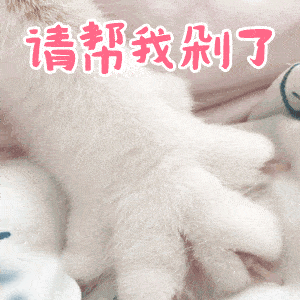 重庆|不输日本！私藏的重庆中古店大曝光！5000元买到LV