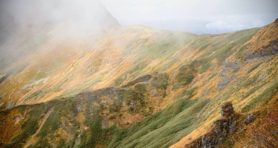 三大主义将主导家电业未来竞争:长期主义、用户主义、价值主义-家电圈官网