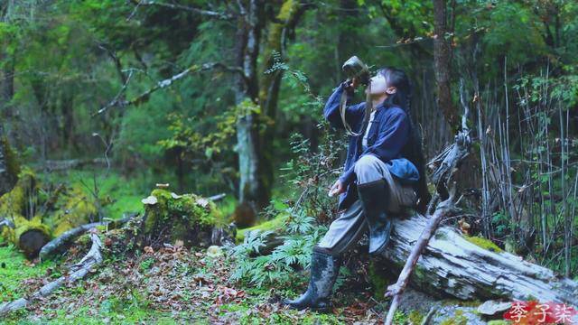 田园|李子柒演绎的田园生活，被如此糟蹋，真的就不戳心么？