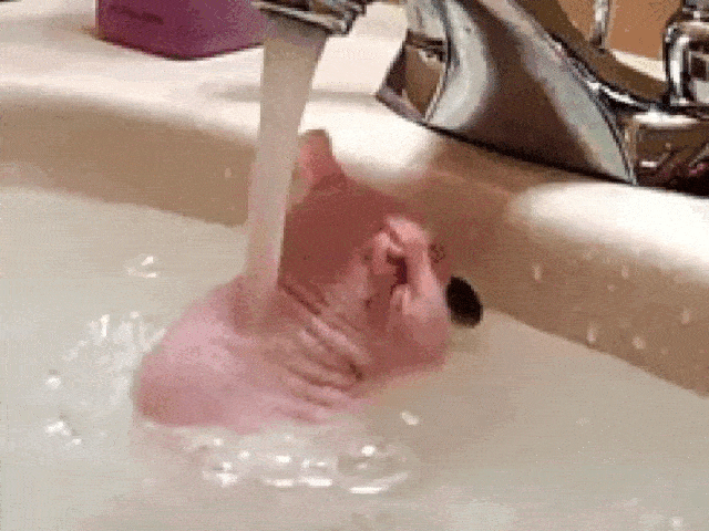 歪果仁说洗澡也不说 wash body,他们一般用下面这两个: ① take/have