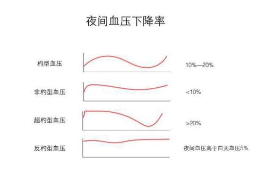 血压低的原理是什么_血压低是什么原因(2)