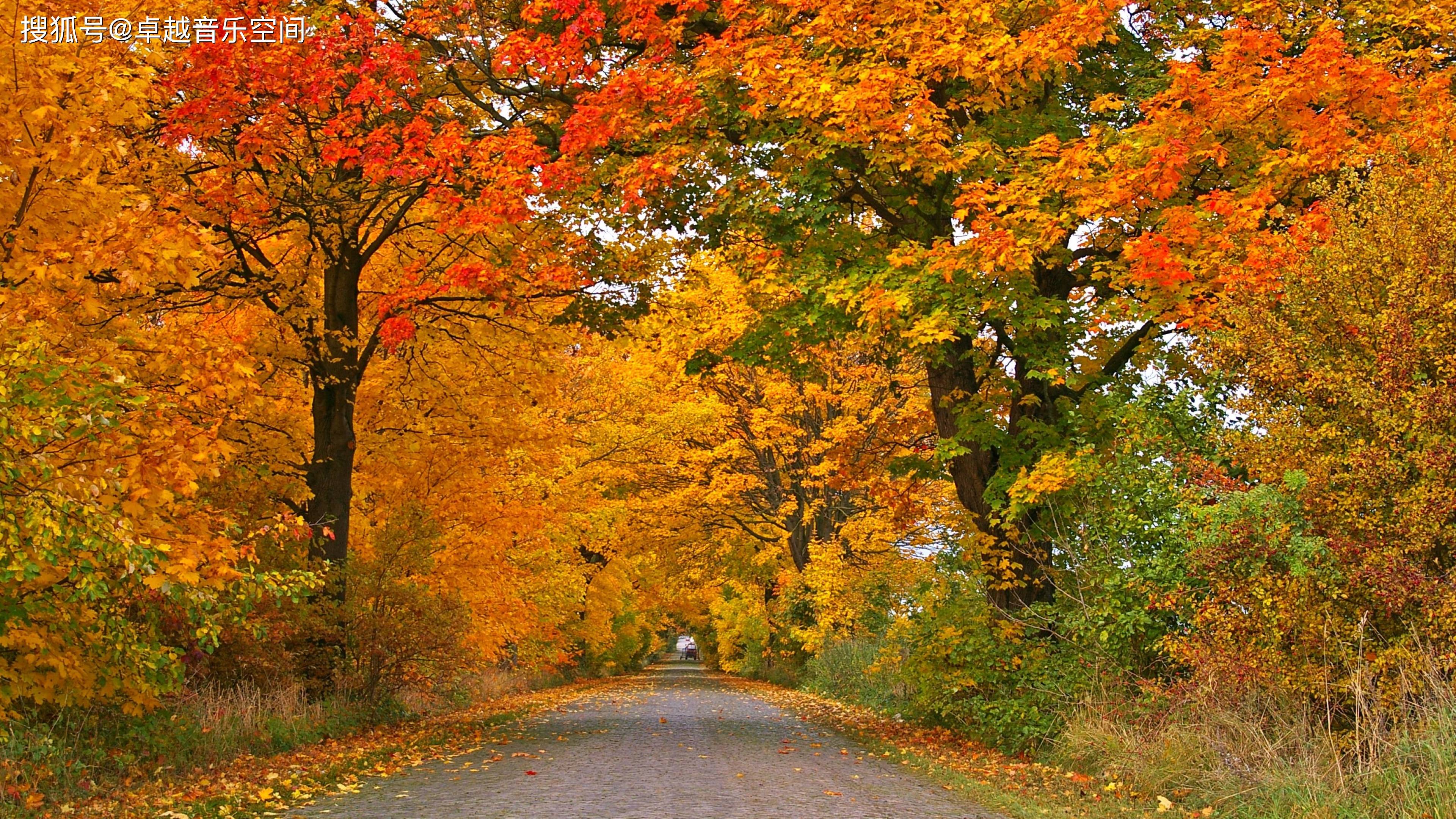 丰收的季节,唯美的色彩,感受下惬意的秋天