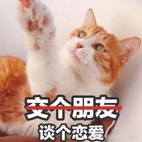 e30680e317634a8db39c7ff97d2e28b6.jpeg