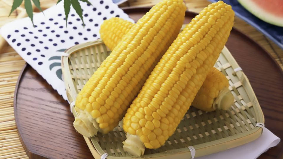 加工|做法多样吃法新鲜，香甜又好吃八百里河套边上的“金豆豆”