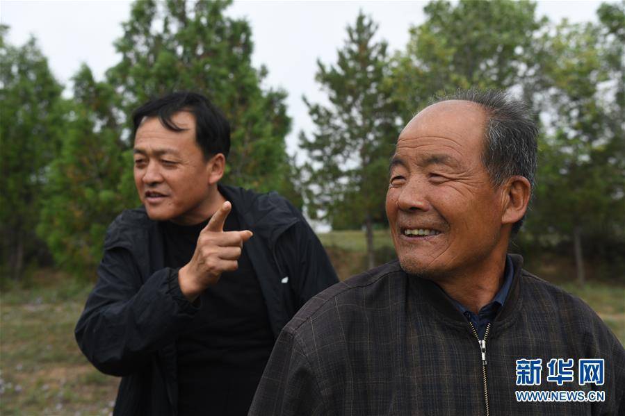 靖边齐军祥：二十年绿化一座荒山