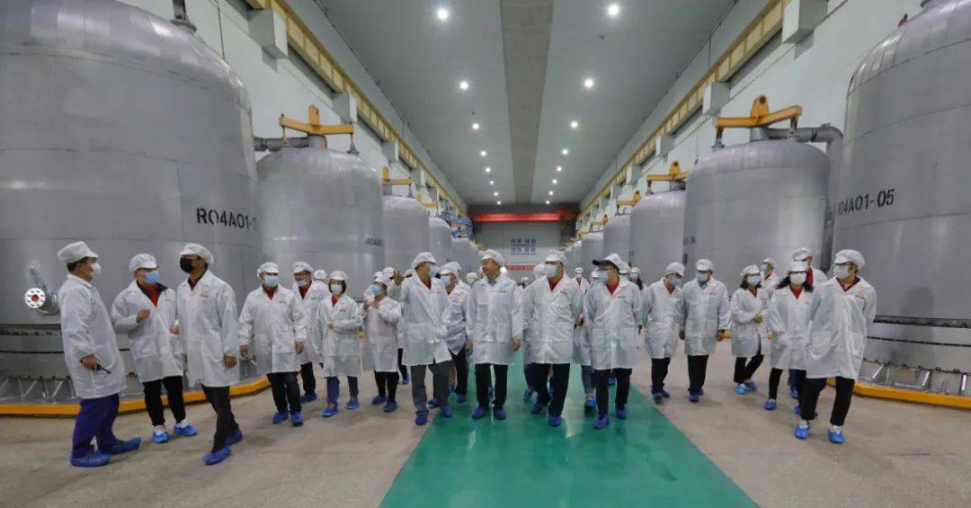 高纯|通威的多晶硅“雄心”