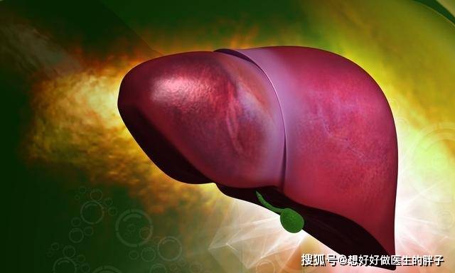 如何养肝护肝6秘诀助你肝脏健康 f6177926f14d45949f1589e974d7f7e7.jpeg