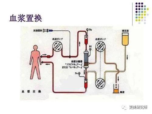 血液|赵薇婚变？44岁的她凭什么拿下亿万身家小鲜肉？！